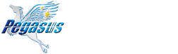 株式会社ペガサス
